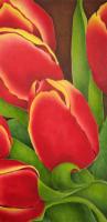 Red Tulips