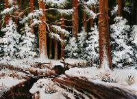Winter in the woods