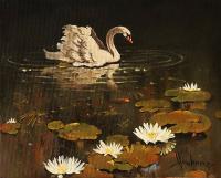 lonely swan