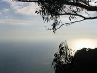 Solitude
