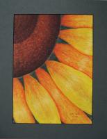 Sunflower detail 1