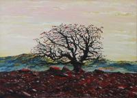 “Tree in the desert” oil painting Bogomol