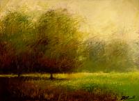 Landscape #239