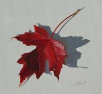 Maple Leaf, Red 1