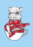 Teacup Pig #1