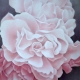 Three Pink Roses