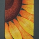 Sunflower detail 1