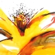 Flower Series Yellow