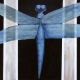 The Blue Dragonfly