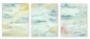 "Random Signal Triptych"