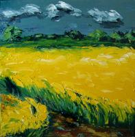 Yellow Canola Field