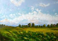 Summer Day