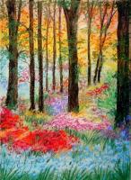Enchanted Forest