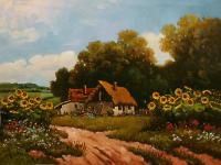 Stories from the oil salaÅ¡ - sunflowers