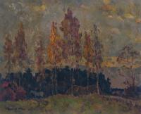 Autumn birchs