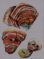 three red mushrooms