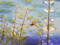 Humming Bird on Pond with Lupine