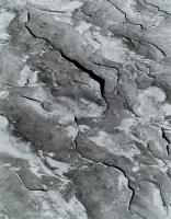 Taughannock #415
