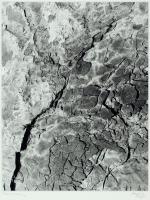 Taughannock #558