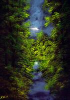 Moon-Lit Stream