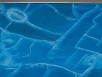 Pool water