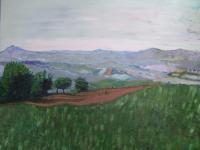 View from studio
