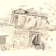 Pencil Sketch