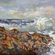 Rocky Coast , Maine