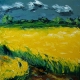 Yellow Canola Field