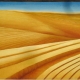 Wheat Field 