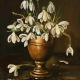 snowdrop