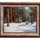 Winter in the woods