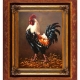 Rooster - the master of the yard
