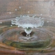 Water Drop