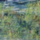 Fish Pond