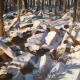 Winter Dream
