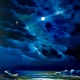 Blue shore