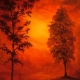 Red lake