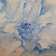 Blue Floral