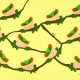 Rollercoaster  Frogs