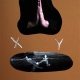 X Y