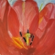 Flower power