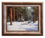 Winter in the woods