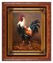 Rooster - the master of the yard